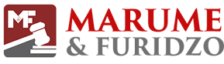 Marume and Furidzo Legal Practitioners
